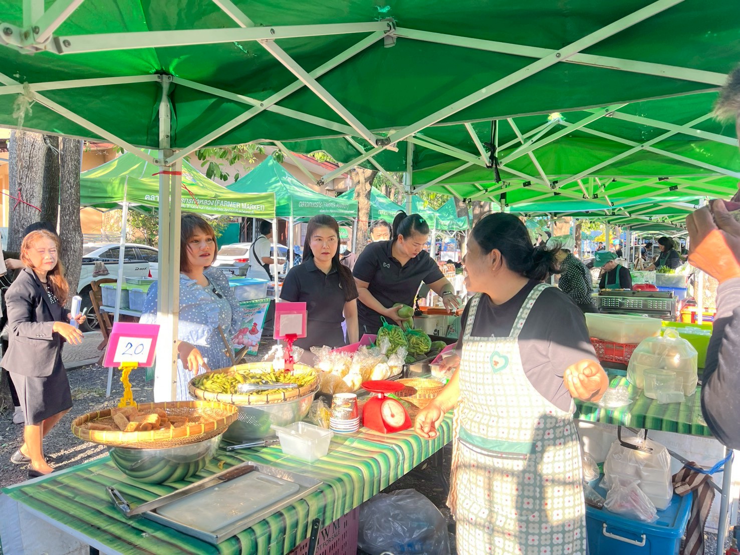 title - โครงการส่งความสุขปีใหม่มอบให้เกษตรกรในเขตปฏิรูปที่ดิน ประจำปีงบประมาณ พ.ศ. 2569